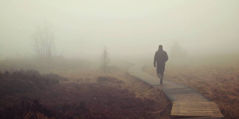 fog, moor, swampy landscape